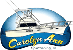 Carolyn Ann Logo